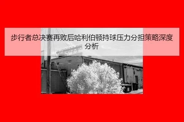 步行者总决赛再败后哈利伯顿持球压力分担策略深度分析